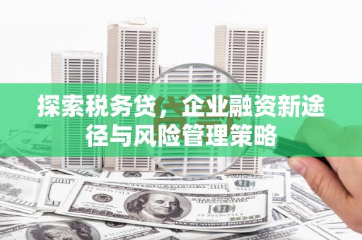 城东探索税务贷，企业融资新途径与风险管理策略