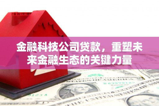 城东金融科技公司贷款，重塑未来金融生态的关键力量