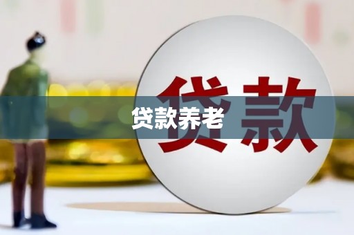 城东贷款养老