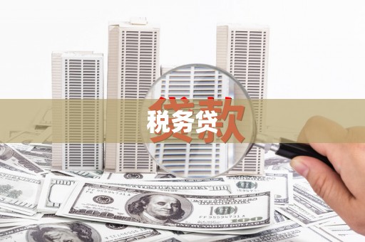 城东税务贷