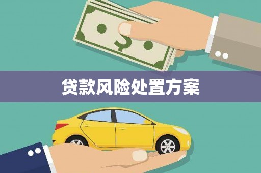 城东贷款风险处置方案