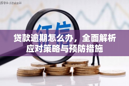 城东贷款逾期怎么办，全面解析应对策略与预防措施