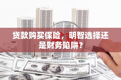 城东贷款购买保险，明智选择还是财务陷阱？