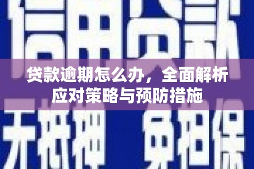 城东贷款逾期怎么办，全面解析应对策略与预防措施