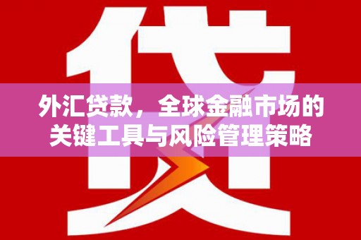 城东外汇贷款，全球金融市场的关键工具与风险管理策略