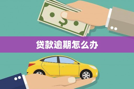 城东贷款逾期怎么办