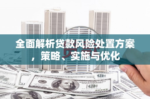 城东全面解析贷款风险处置方案，策略、实施与优化