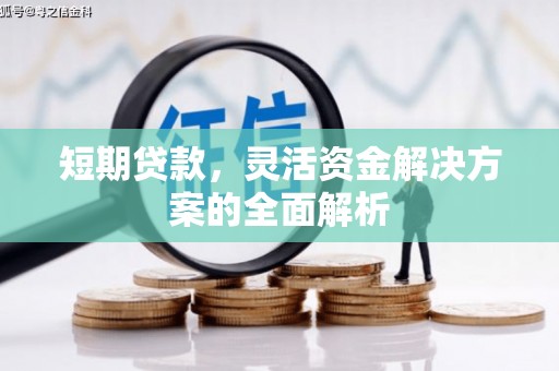 城东短期贷款，灵活资金解决方案的全面解析