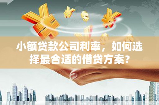 城东小额贷款公司利率，如何选择最合适的借贷方案？