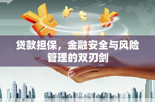 城东贷款担保，金融安全与风险管理的双刃剑