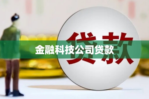 城东金融科技公司贷款