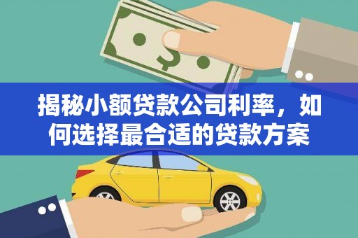 城东揭秘小额贷款公司利率，如何选择最合适的贷款方案