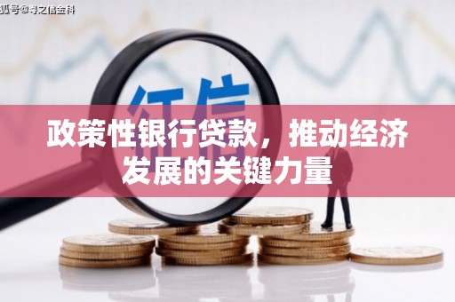 城东政策性银行贷款，推动经济发展的关键力量