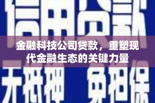 城东金融科技公司贷款，重塑现代金融生态的关键力量