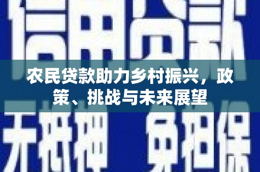 城东农民贷款助力乡村振兴，政策、挑战与未来展望