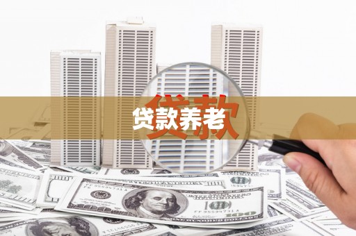 城东贷款养老