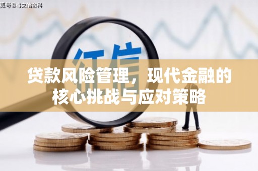 城东贷款风险管理，现代金融的核心挑战与应对策略