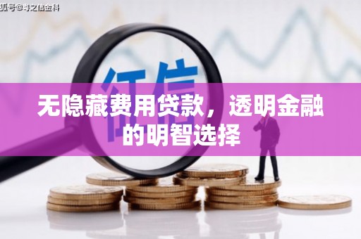 城东无隐藏费用贷款，透明金融的明智选择