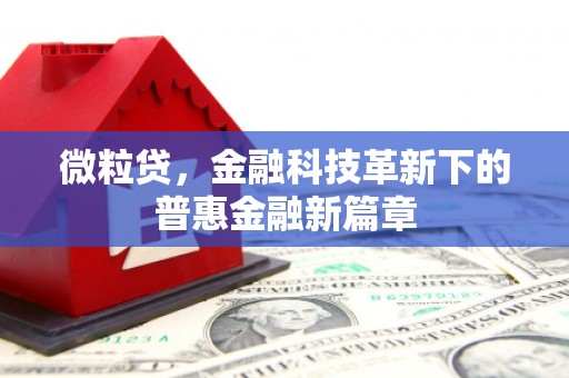城东微粒贷，金融科技革新下的普惠金融新篇章