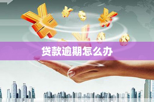 城东贷款逾期怎么办