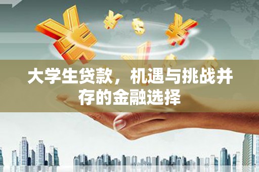 城东大学生贷款，机遇与挑战并存的金融选择