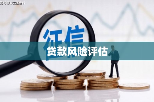 城东贷款风险评估