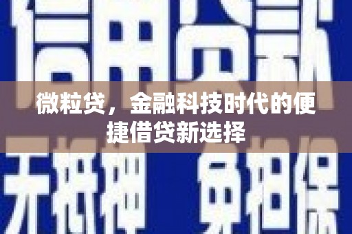 城东微粒贷，金融科技时代的便捷借贷新选择
