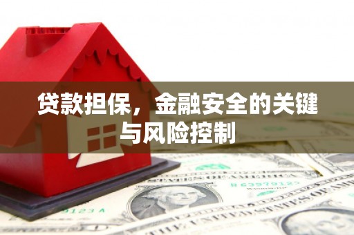 城东贷款担保，金融安全的关键与风险控制
