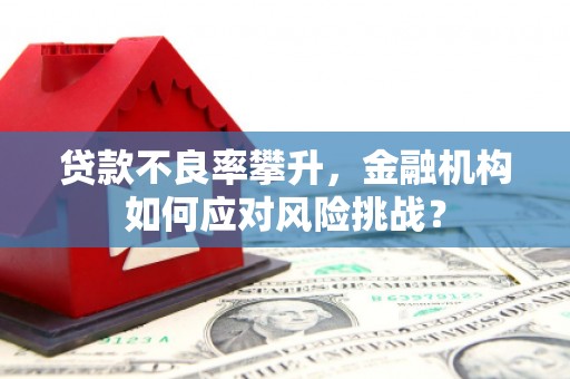 城东贷款不良率攀升，金融机构如何应对风险挑战？
