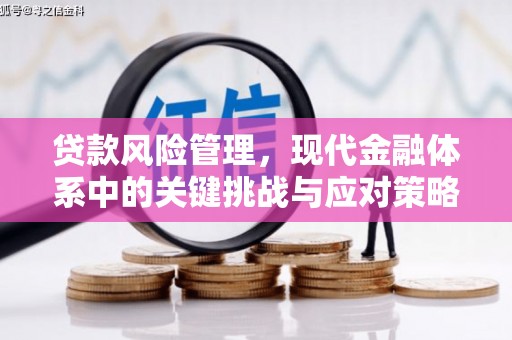城东贷款风险管理，现代金融体系中的关键挑战与应对策略