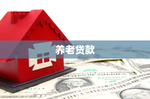 城东养老贷款