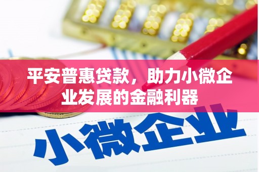 城东平安普惠贷款，助力小微企业发展的金融利器