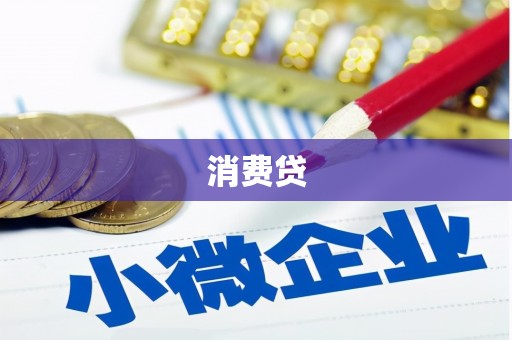 城东消费贷