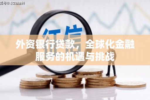城东外资银行贷款，全球化金融服务的机遇与挑战