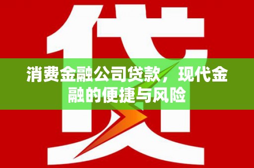 城东消费金融公司贷款，现代金融的便捷与风险