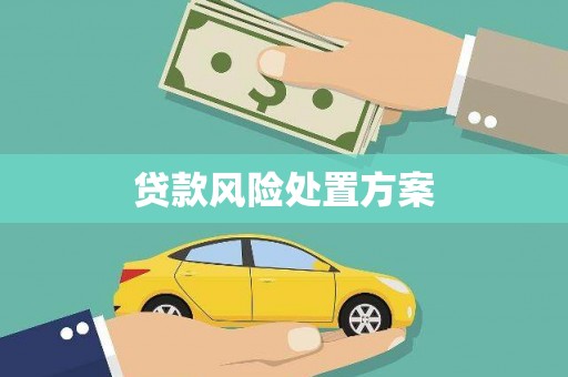 城东贷款风险处置方案