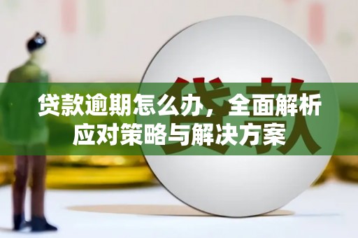 城东贷款逾期怎么办，全面解析应对策略与解决方案