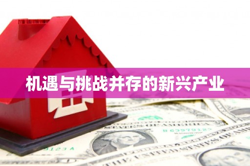 城东机遇与挑战并存的新兴产业