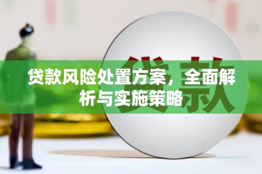 城东贷款风险处置方案，全面解析与实施策略