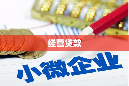 城东经营贷款