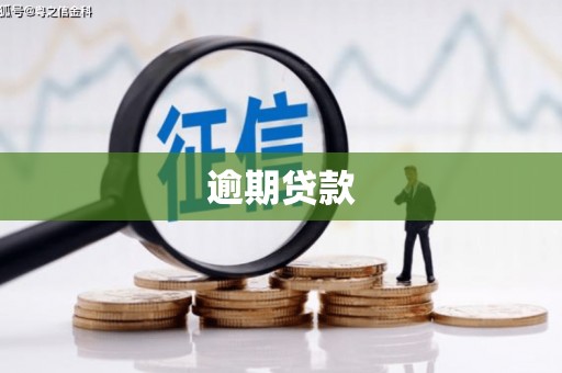 城东逾期贷款
