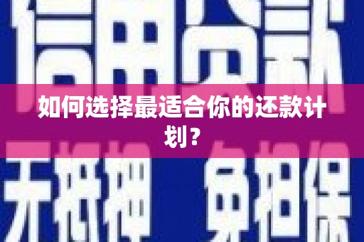 城东如何选择最适合你的还款计划？