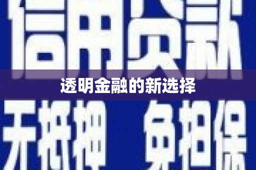 城东透明金融的新选择